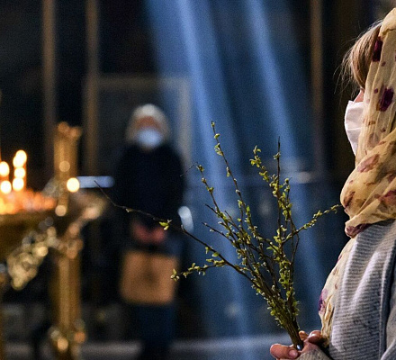 ¿Qué es lo correcto para hacer con un sauce consagrado?