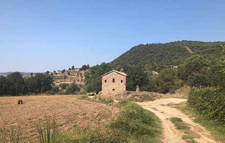 Mare de Déu del Remei de Cardona