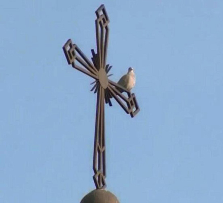 Una colomba si è seduta sulla croce del tempio durante un servizio di preghiera a Echmiadzin