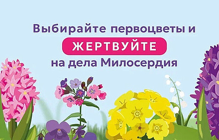 Стартовала акция в поддержку портала Милосердие.ru