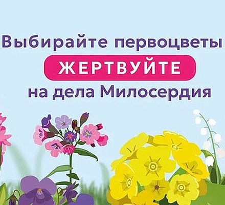 Стартовала акция в поддержку портала Милосердие.ru