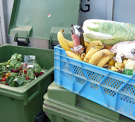 Допустимо ли выбрасывать еду? Или это грех?