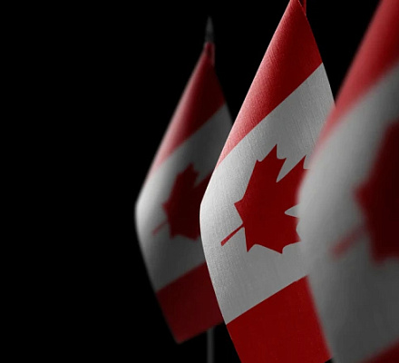 La eutanasia en Canadá se disparó casi un 16% el año pasado, con más de 15.000 muertes