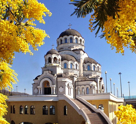 Международный женский день