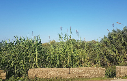 Chiesa Sacra Famiglia Piano dell'acqua
