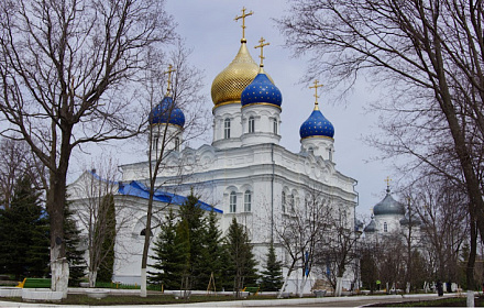 Скорбященская церковь