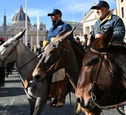 Italian farmers come to the Vatican for blessing of animals