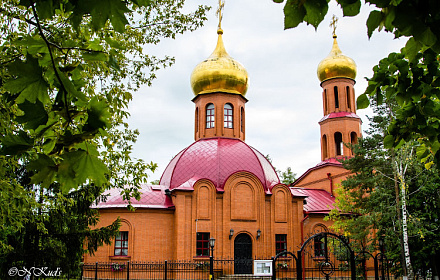 Церковь Димитрия Донского