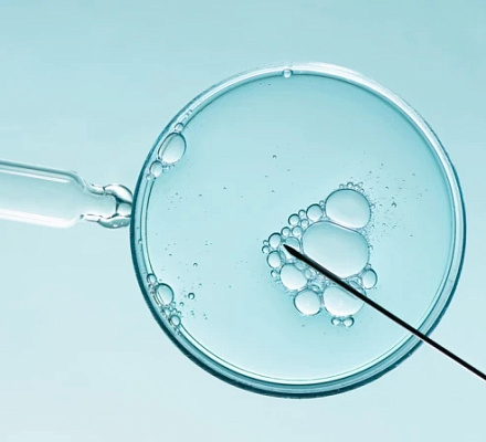 Virginia bishop: IVF ‘contrary to justice,’ destroys many human lives