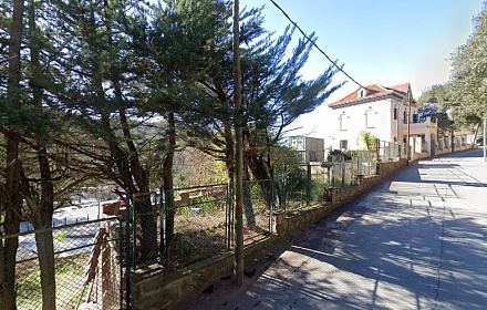 ICB under the tree icb international church of barcelona