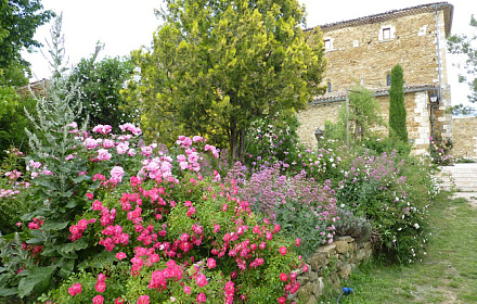 The Abbey Garden Valsaintes