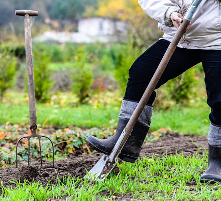 Ne sedite besposleni? Šta je rad