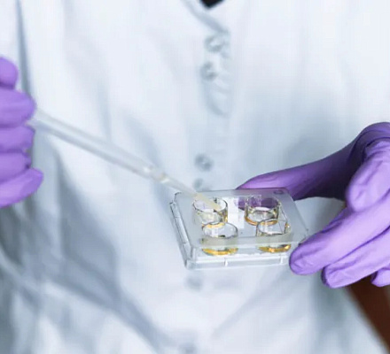 Trump proposes the government pay for IVF; what are Catholics saying?