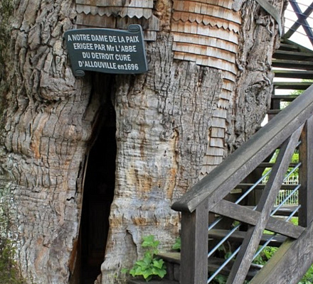 Due cappelle all'interno di una quercia nel villaggio di Allouville-Belfoss