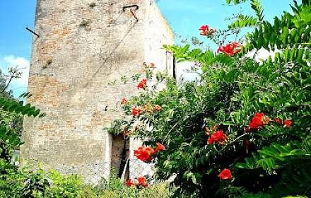 Sant' Erasmo
