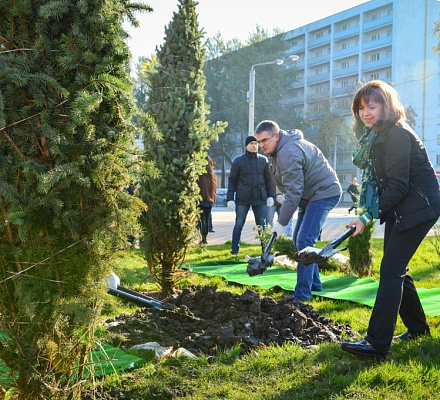 День древонасаждения: праздник, который вернулся