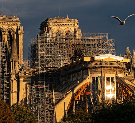 La corona di Cristo sarà indossata per il culto nella cattedrale di Notre Dame