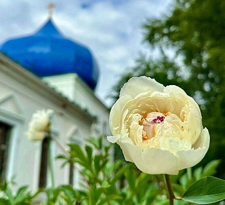 Прихожане Русской Православной Церкви участвуют в акции "Зелёная волна"