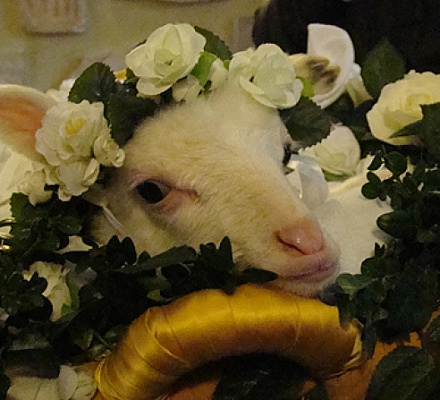 The origins of St. Agnes, child saint and martyr