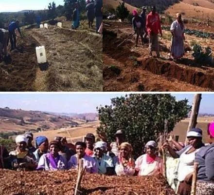 Bishops in South Africa urge racial healing as Trump condemns country’s land policy