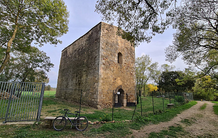 Chapelle St Martin du Jonquier