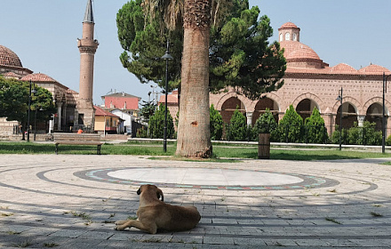 Mezquita Boialyja mahalla