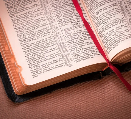 El boom de la Biblia: ¿Por qué se compran tantas Biblias?