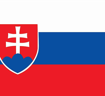 В Словакии приняты поправки в Конституцию, закрепляющие признание только двух полов