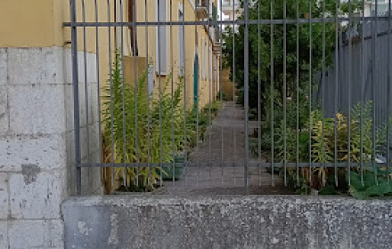 Suore Battistine