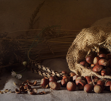 Terzo Salvatore. È il dado o il pane