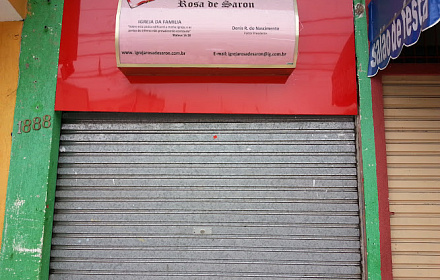 Rosa de Saron