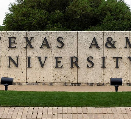 В Демократической Республике Конго исламисты зверски убили более 100 христиан