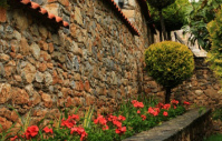 Santa Cecilia in Trastevere
