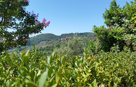 Chiesa di Santa Margherita