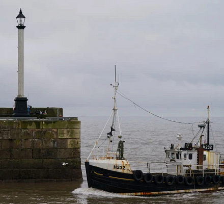 Catholic sea ministry calls for regulators to promote human rights, labor protections